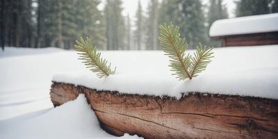 The primary subject of the image is a tree with green leaves, which is growing out of the snow. The tree is surrounded by a snowy landscape, creating a serene and peaceful atmosphere. The visual style of the image is a photo, capturing the natural beauty of the tree in its winter environment. The colors and mood of the image are predominantly white and cold, emphasizing the contrast between the tree and the snow.